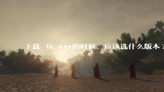 下载 4k ***的时候，应该选什么版本?